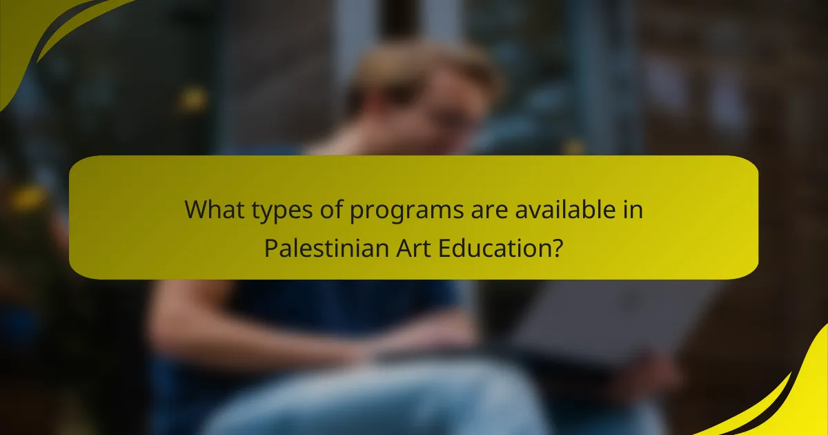 What types of programs are available in Palestinian Art Education?